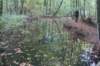 dsc08827_small.jpg