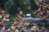 dsc08828_small.jpg
