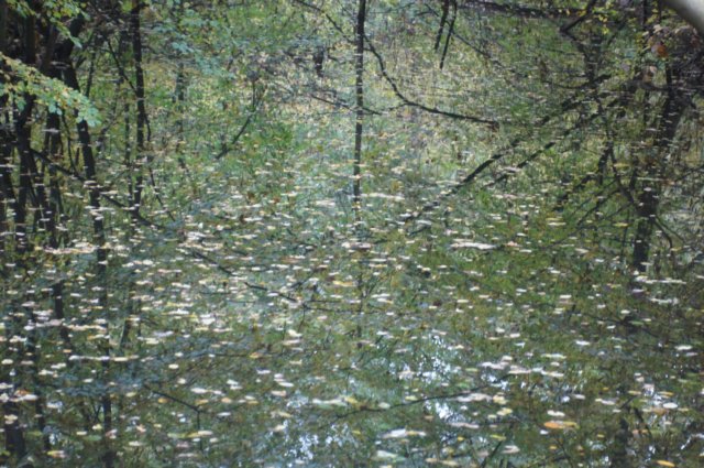 dsc08830.jpg