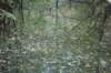 dsc08830_small.jpg