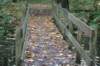 dsc08831_small.jpg