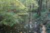 dsc08834_small.jpg