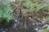 dsc08835_small.jpg