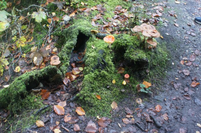 dsc08836.jpg