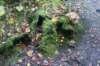 dsc08836_small.jpg