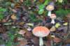 dsc08837_small.jpg