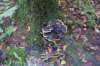 dsc08838_small.jpg