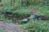 dsc08840_small.jpg