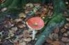 dsc08841_small.jpg