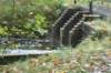dsc08842_small.jpg