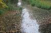 dsc08843_small.jpg