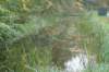 dsc08844_small.jpg