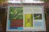 dsc08852_small.jpg