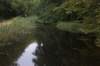 dsc08854_small.jpg