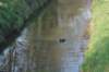 dsc06309_small.jpg