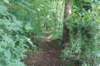 dsc07221_small.jpg