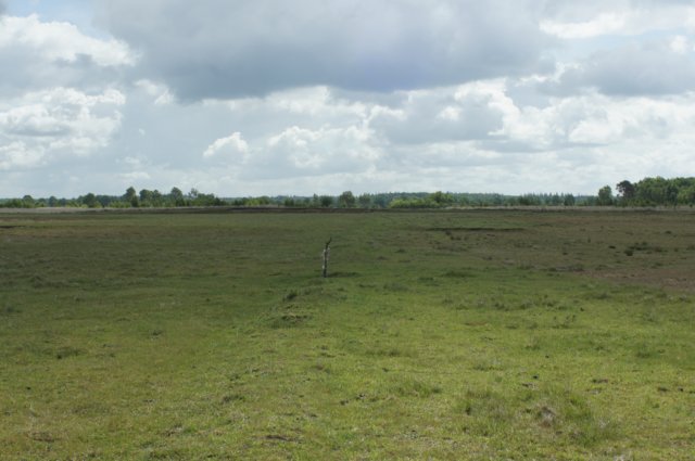 dsc07268.jpg