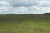 dsc07268_small.jpg