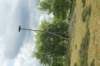 dsc07275_small.jpg