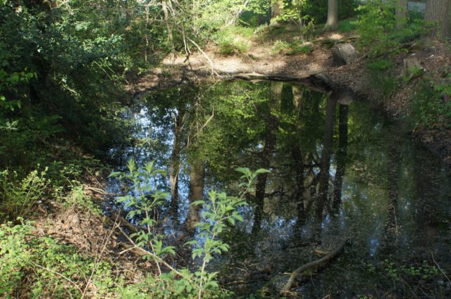 dsc06893.jpg