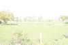 dsc06897_small.jpg