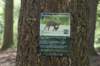 dsc06948_small.jpg