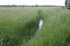 dsc07349_small.jpg