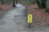 dsc06076_small.jpg