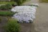 dsc06971_small.jpg