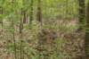dsc07024_small.jpg