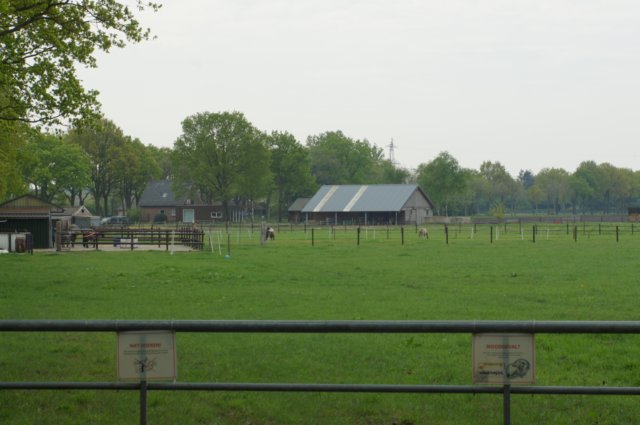 dsc07032.jpg