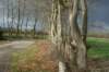 dsc06589_small.jpg