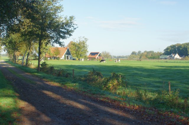dsc08956.jpg