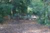 dsc08964_small.jpg