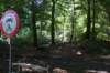dsc07746_small.jpg