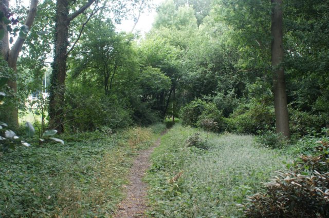 dsc08031.jpg