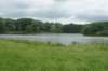 dsc08040_small.jpg