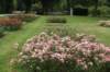 dsc08068_small.jpg