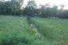 dsc08510_small.jpg