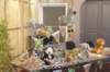dsc02372_small.jpg