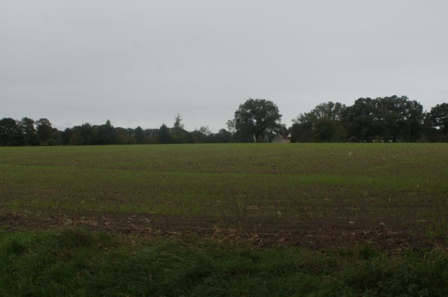dsc02374.jpg