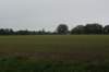 dsc02374_small.jpg