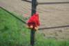 dsc02378_small.jpg
