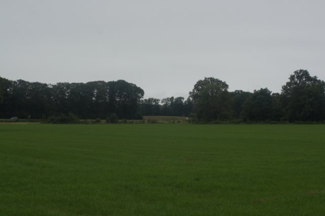 dsc02379.jpg