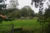 dsc02381_small.jpg