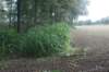 dsc02382_small.jpg