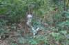 dsc02383_small.jpg