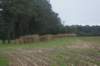 dsc02389_small.jpg