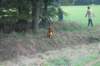 dsc02390_small.jpg