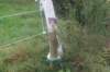 dsc02391_small.jpg